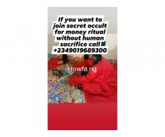 ¥//®//[[+2349019689300]] I want to join secret occult for money ritual without human sacrifice. - Image 5